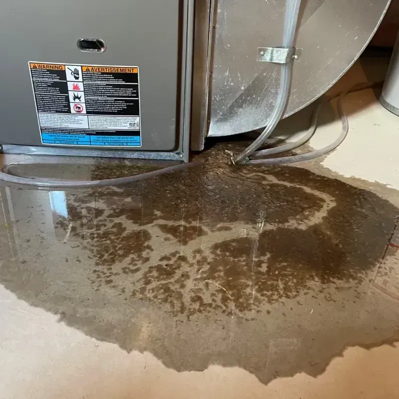 Appliance Leak Cleanup in Jarales, NM